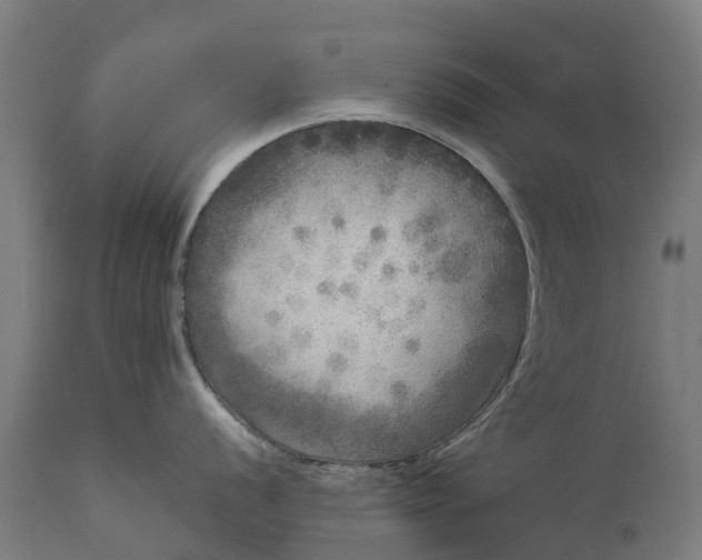 X0000111641056200907311247