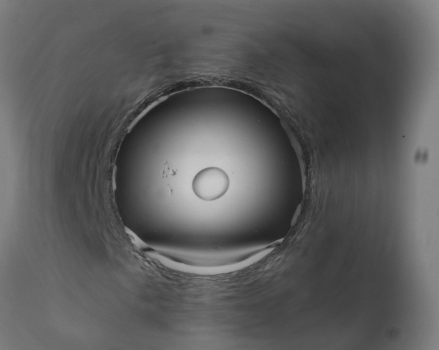 X0000111641057200907311246