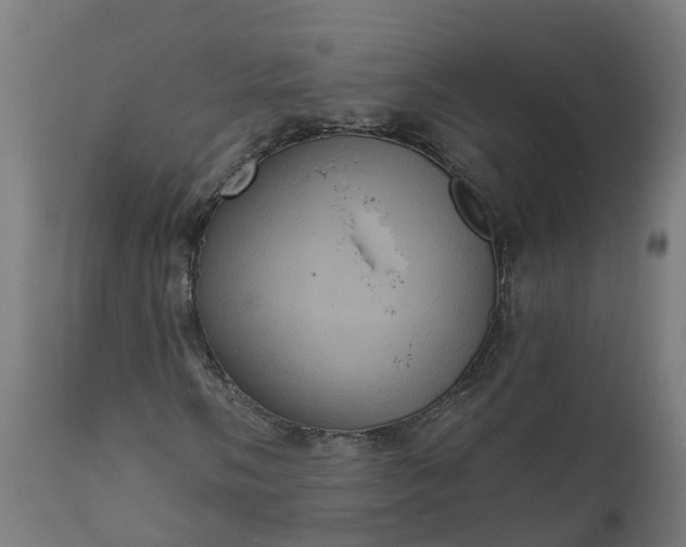 X0000111641058200907311246