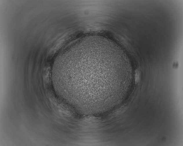 X0000111641059200907311246