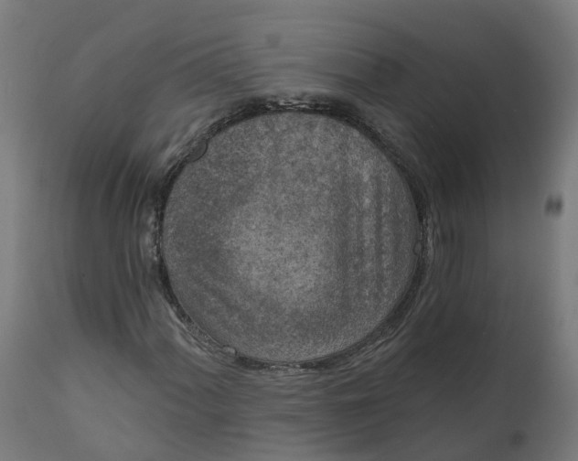 X0000111641060200907311246