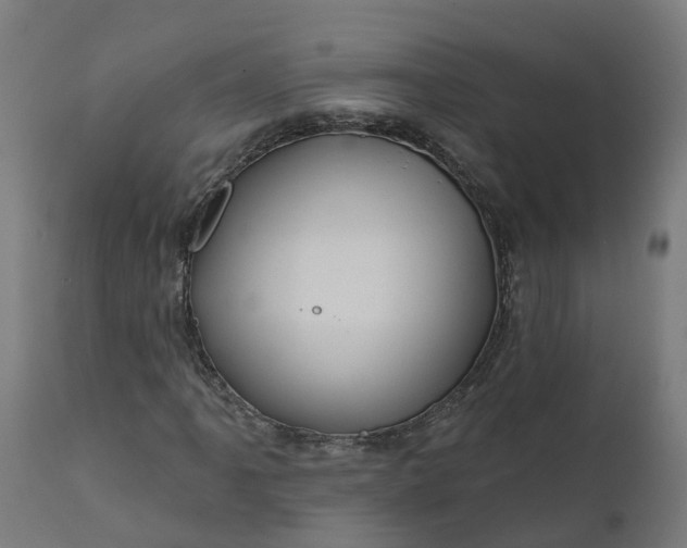 X0000111641061200907311246