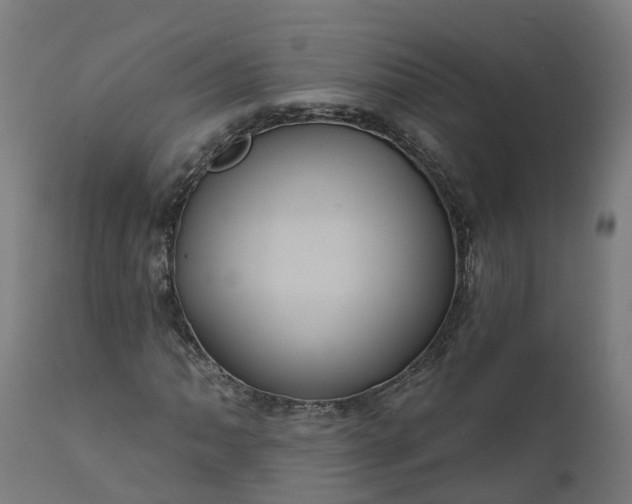 X0000111641062200907311246