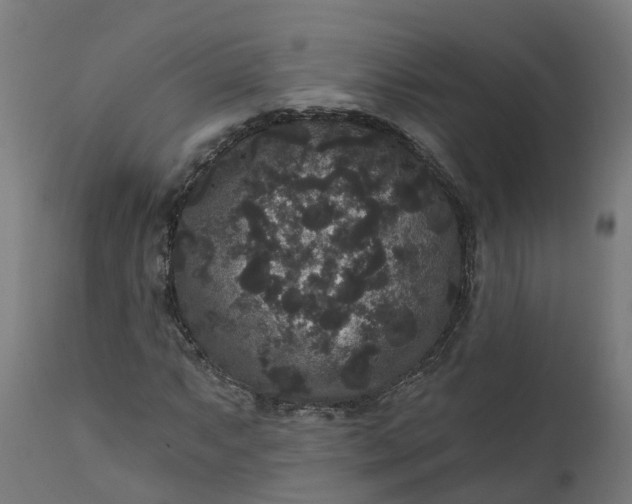 X0000111641063200907311246