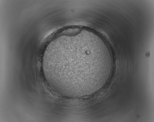 X0000111641064200907311246