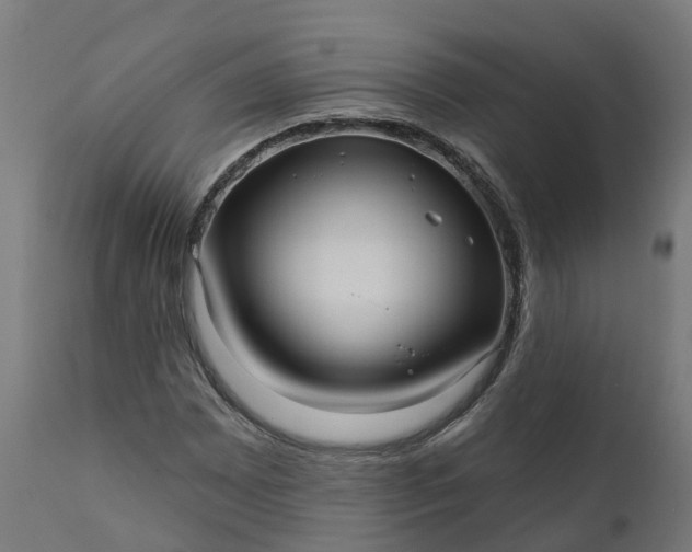 X0000111641065200907311246