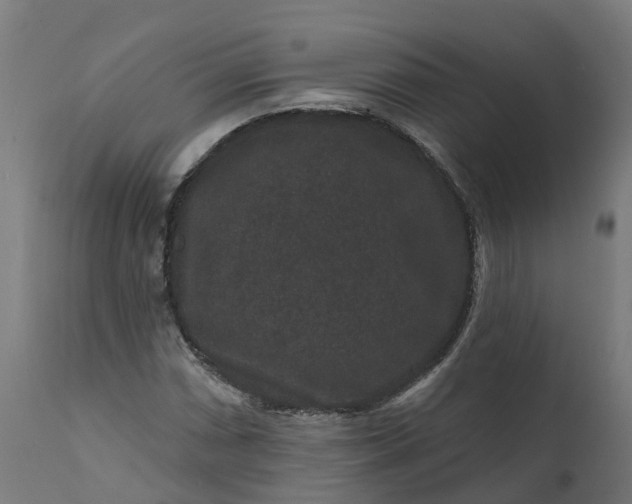 X0000111641066200907311246