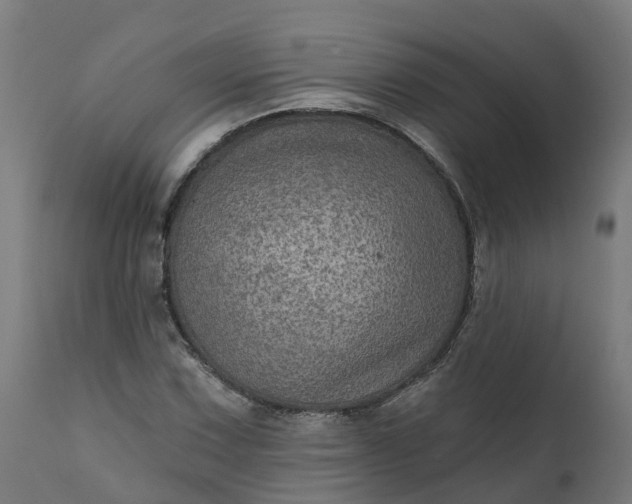 X0000111641067200907311246