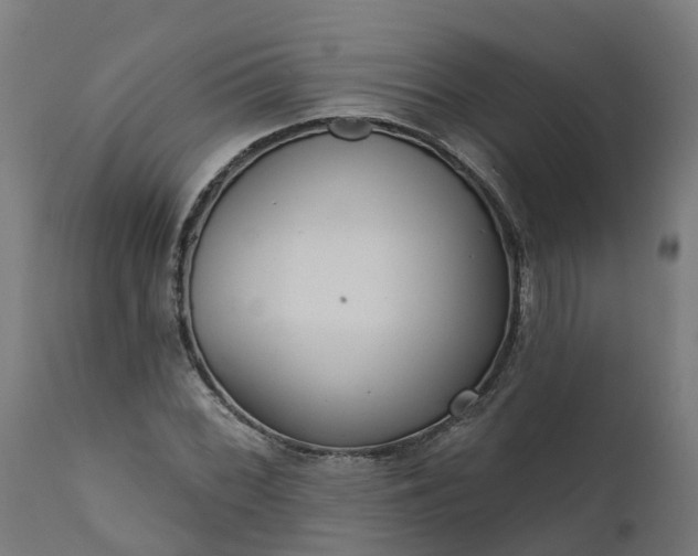 X0000111641068200907311246