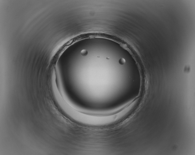 X0000111641069200907311246