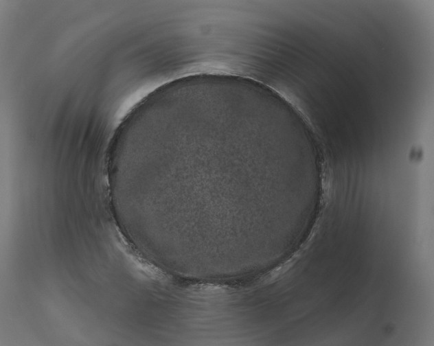 X0000111641070200907311246