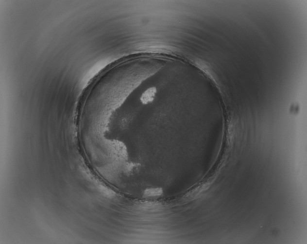 X0000111641071200907311246