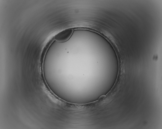 X0000111641072200907311246