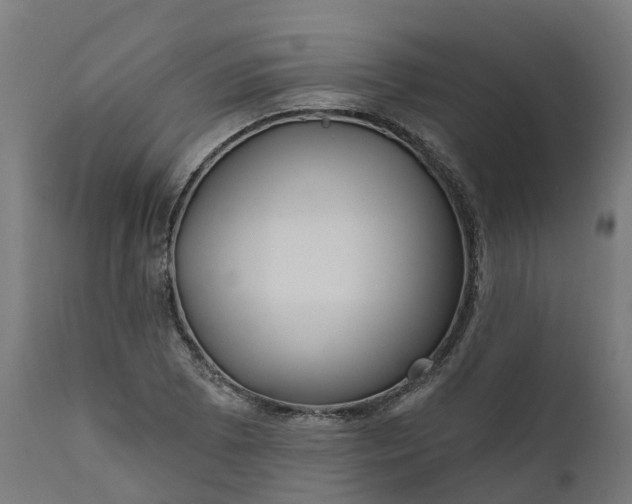 X0000111641073200907311246