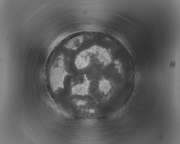 X0000111641074200907311246