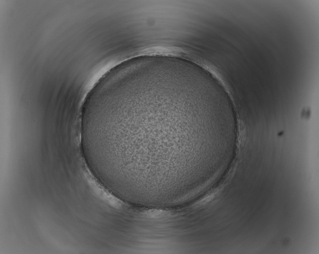 X0000111641075200907311246