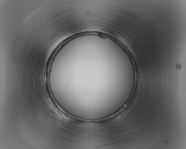 X0000111641076200907311246