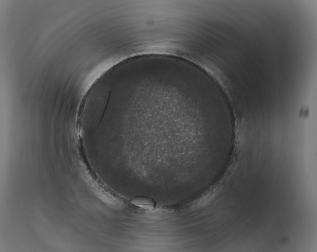 X0000111641077200907311246