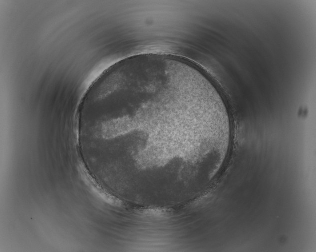 X0000111641078200907311246