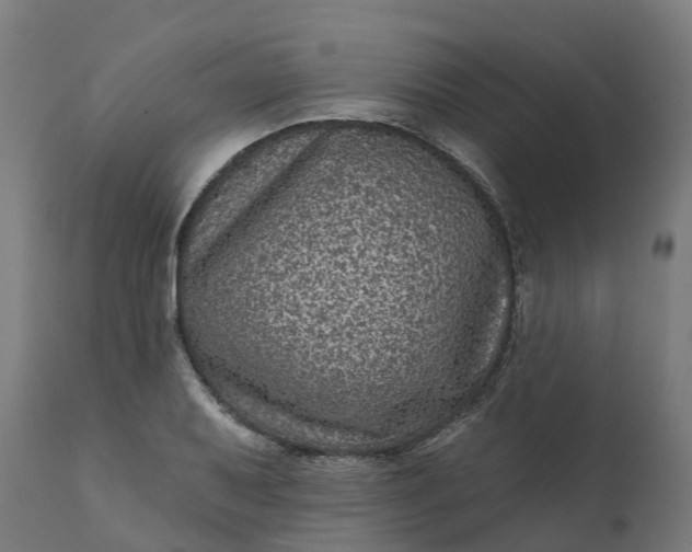 X0000111641079200907311246