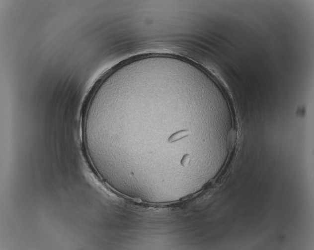 X0000111641080200907311246