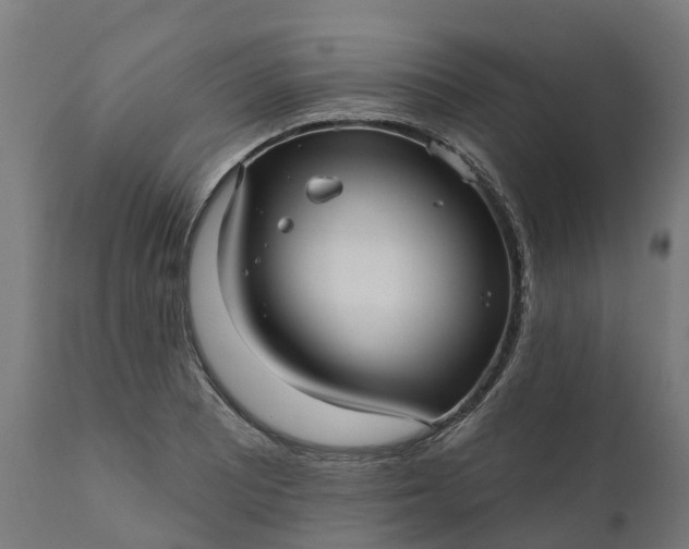 X0000111641081200907311246