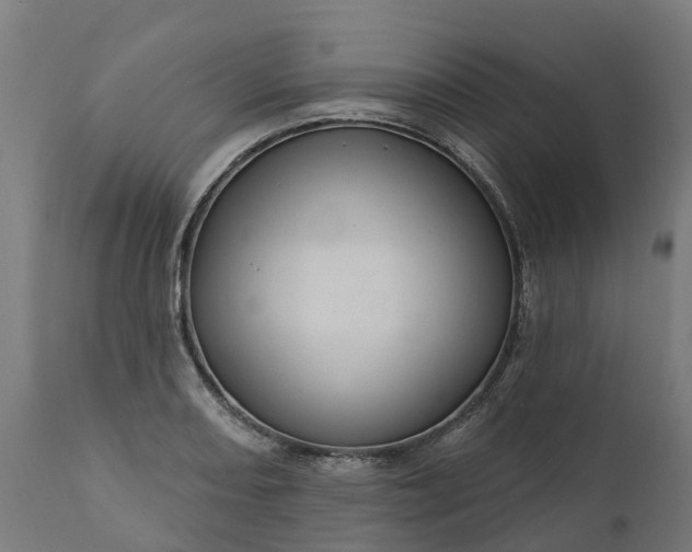 X0000111641082200907311246