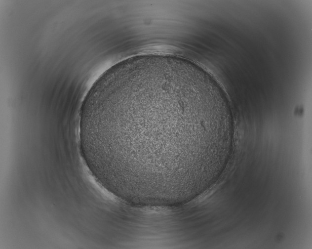 X0000111641083200907311246