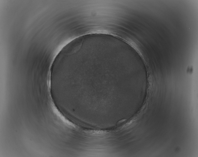 X0000111641084200907311246