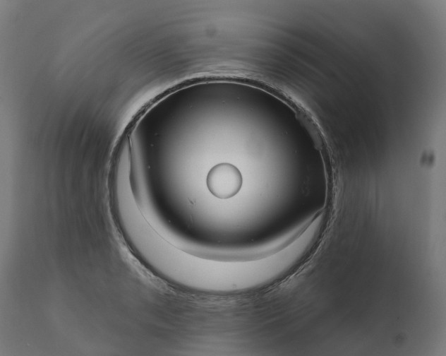 X0000111641085200907311246