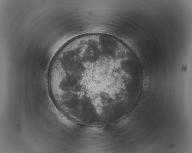 X0000111641086200907311246