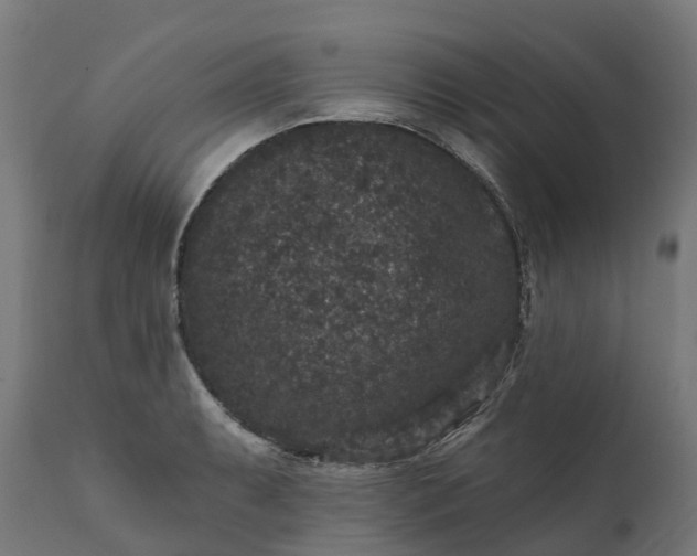 X0000111641087200907311246