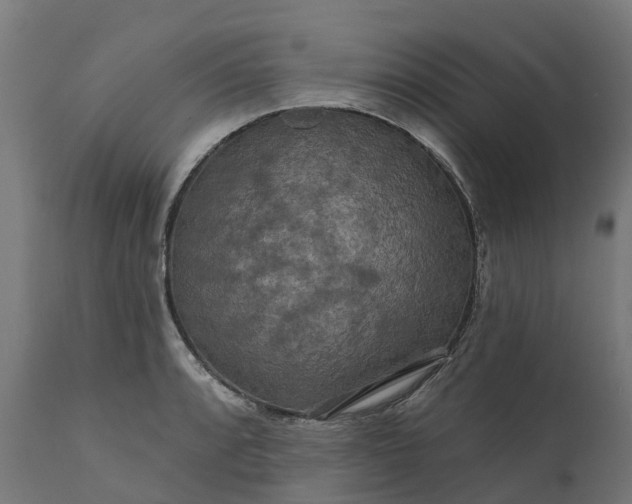 X0000111641088200907311246