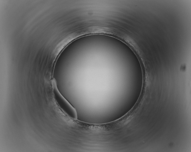 X0000111641089200907311246