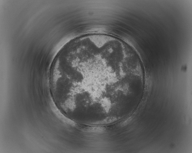 X0000111641090200907311246