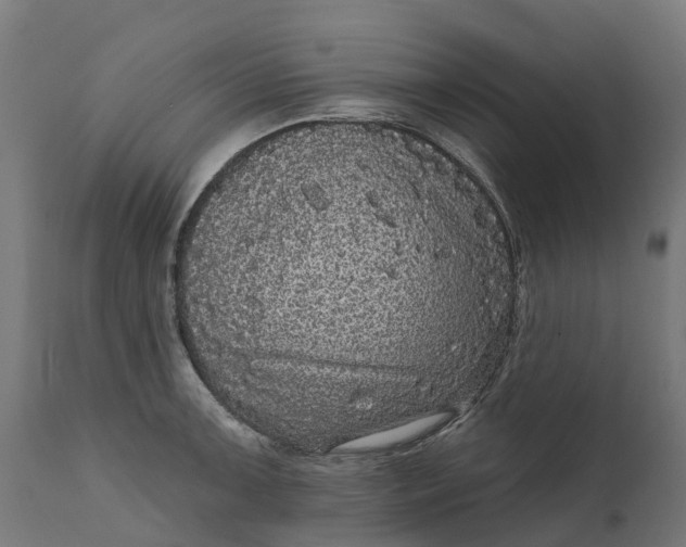 X0000111641091200907311246