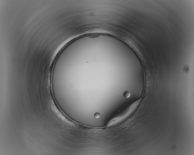 X0000111641092200907311246