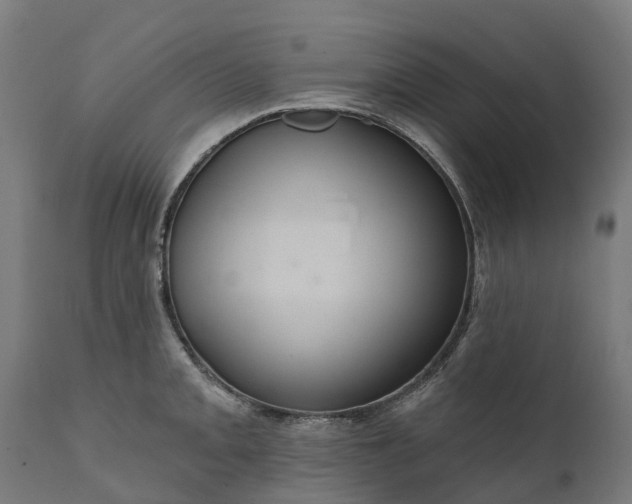 X0000111641093200907311246