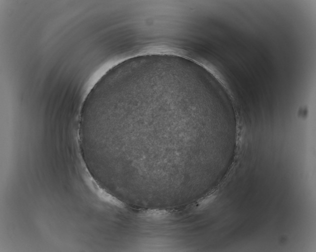 X0000111641094200907311246