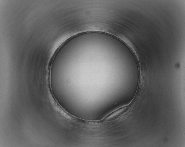 X0000111641096200907311246