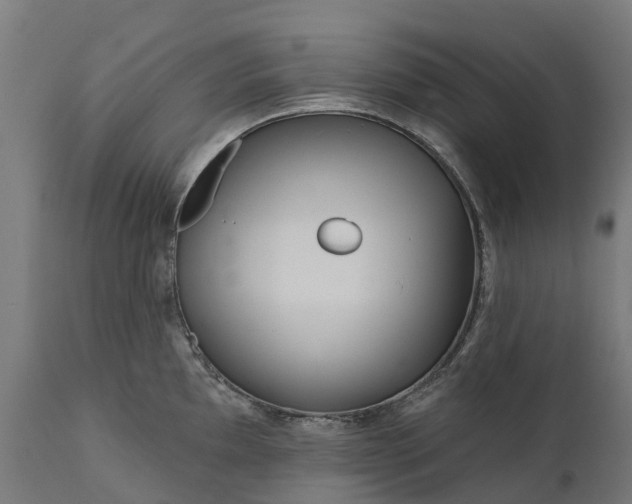 X0000111641097200907311246