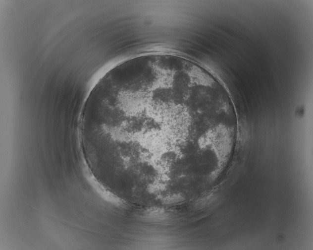 X0000111641098200907311246