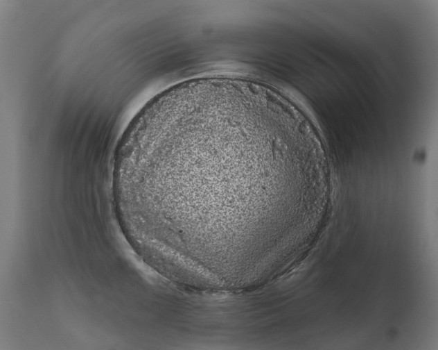 X0000111641099200907311246