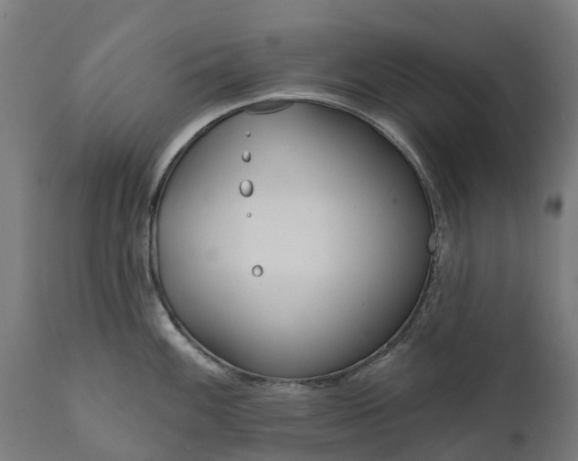 X0000111641100200907311246