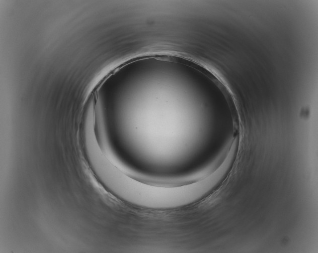 X0000111641101200907311246