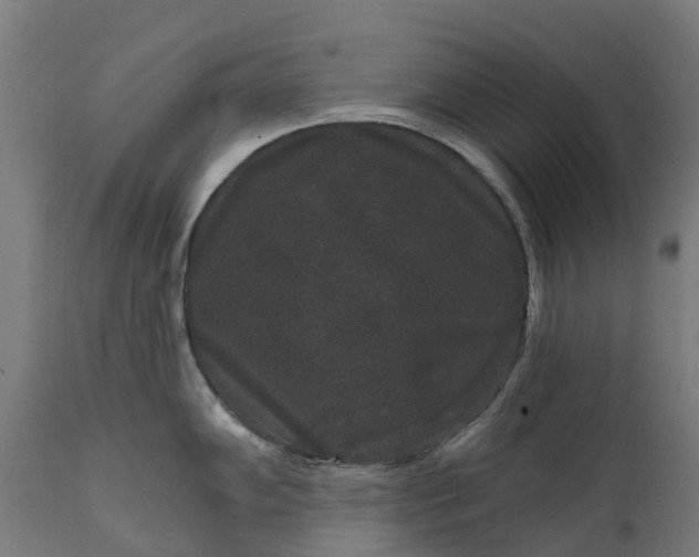 X0000111641102200907311246