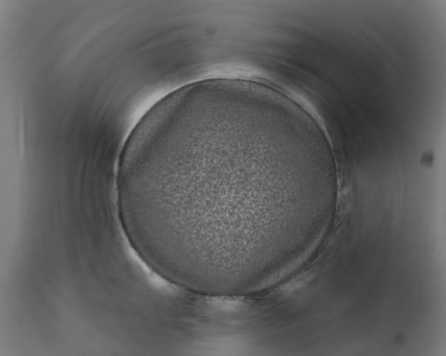 X0000111641103200907311246