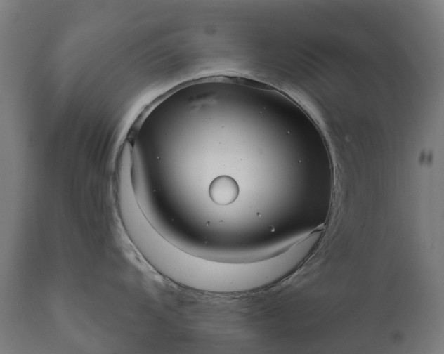 X0000111641104200907311246