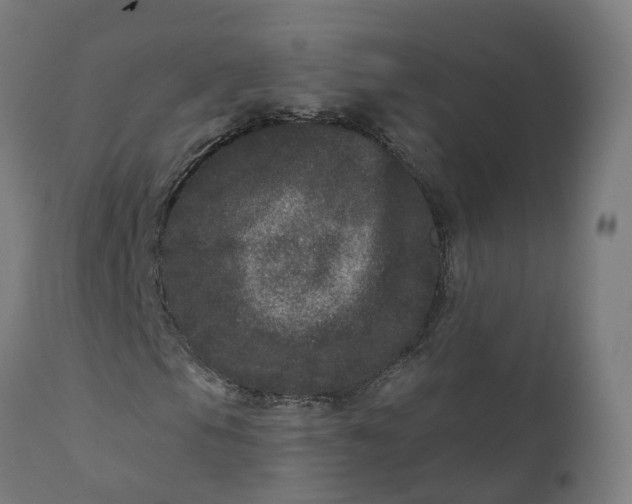 X0000111641105200907311245