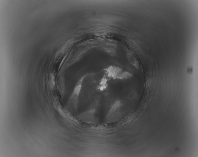 X0000111641106200907311245